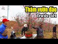 Thăm vườn đào nhật tân ngày tết