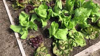 Malad CSA - Week 3, 24 April 2019