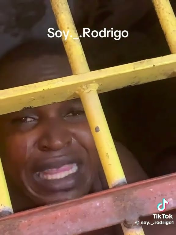 El virus el preso  ￼￼￼- ay bobo mami  ? Rochy RD ￼