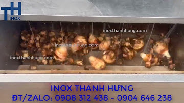 Máy rửa Khoai Môn, Khai Sọ công nghiệp dạng con lăn bàn chải - Máy rửa củ quả nông sản đa năng