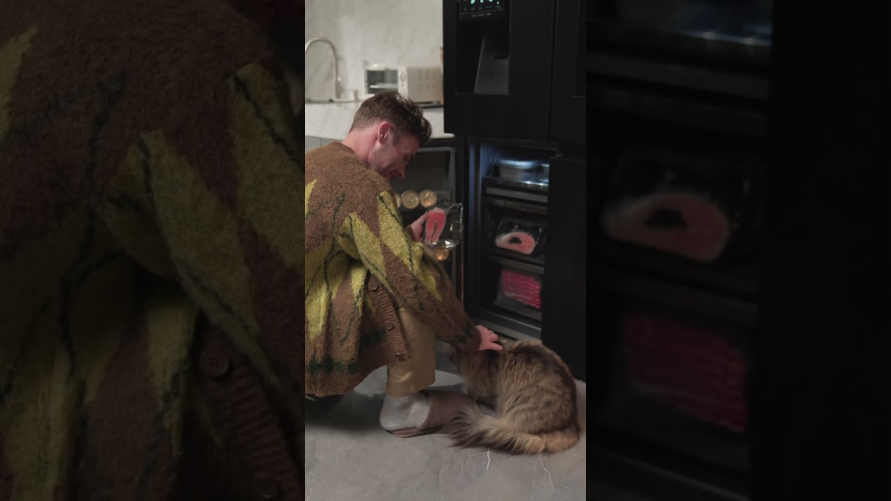 Hisense PureFlat | Your Cat ls Hungry