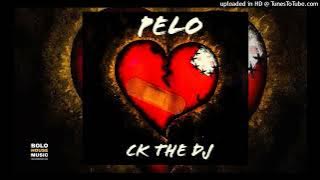 CK The DJ - Pelo ( Audio 2022)