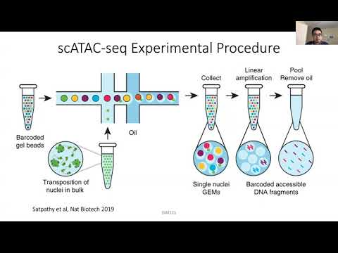 Video: Single-cell ATAC-seq: Kekuatan Dalam Jumlah