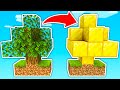 TODO LO QUE TOCO SE HACE ORO! 💰🤣 | Minecraft