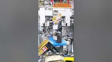 Full automatic doypack packaging machine | garlic and granules pouch packing machine