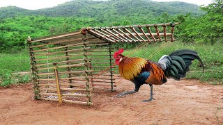 Creative Wild Chicken Trap Make From Bamboo Nets - Fantastic Bird Trap