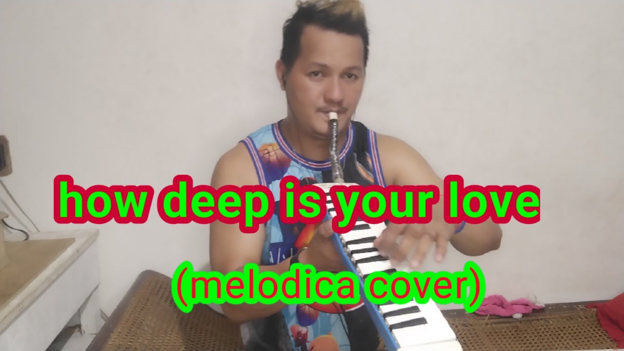 how deep is your love melodica coverdaddy longback YouTube
