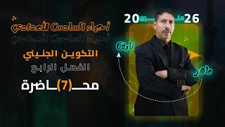 الفصل الرابع / التكوين الجنيني / المحاضرة 7 - السادس العلمي