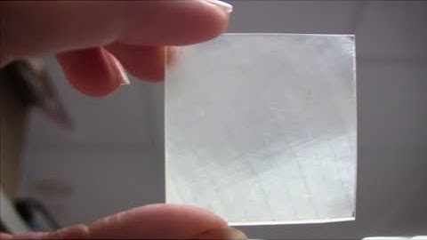 UMD Discovers Transparent Wood