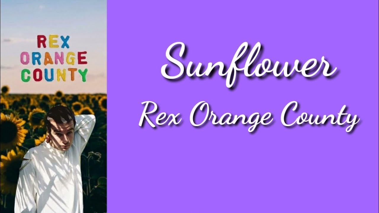 Sunflower - Rex Orange County (Lirik dan Terjemahan Indonesia) Sunflower - Rex Orange County (Lirik dan Terjemahan Indonesia)