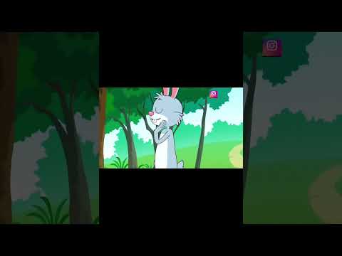 قصة الأرنب والسلحفاة حكايات قمر الصغار حكايات قبل النوم 