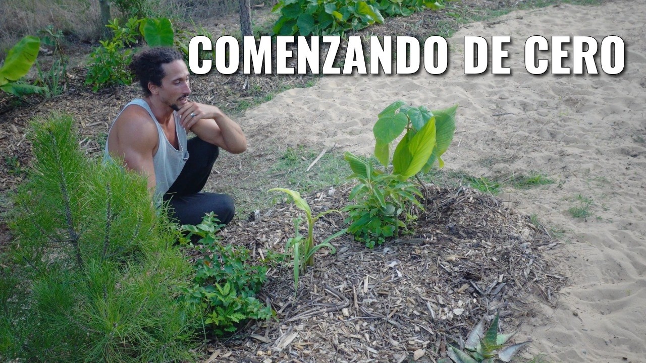 Comenzando un Bosque de Alimentos desde 0 - Principios & Consejos