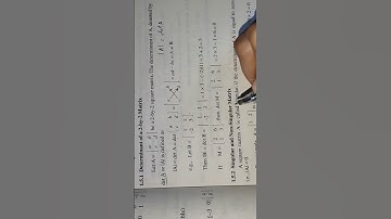 What is Determinant of a Matrix | 9th math Chapter 1 #maths #shorts