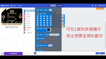 【顯示數字｜show number】JavaScript 模塊編輯器｜基本編程｜ Micro:Bit JavaScript Blocks Editor - Basic