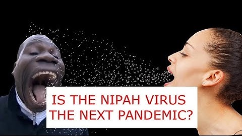 Is the Nipah virus the next pandemic