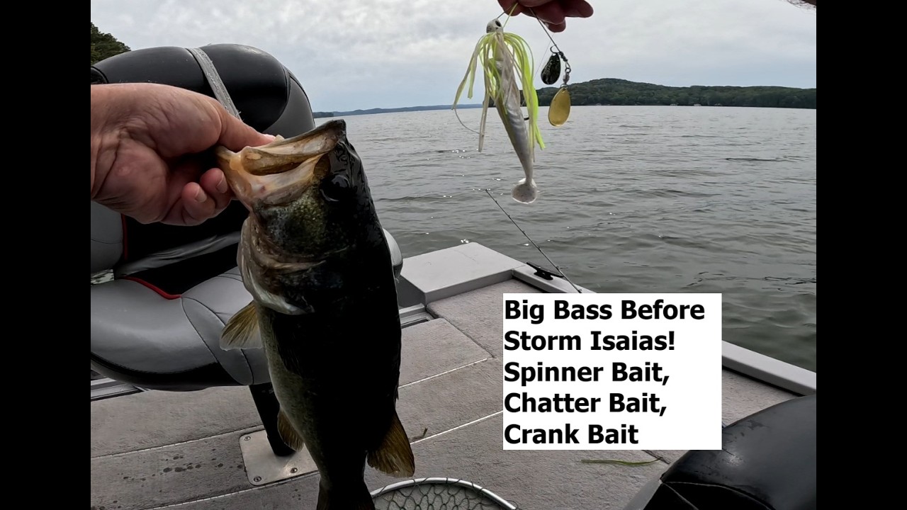 Episode 14: Big Bass Before Storm Isaias- Wake, Chatter, Buzz, Spinner, and Crankbait