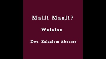 Download Zalalam Abara Mp3 Free And Mp4