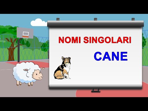 Nomi singolari e plurali