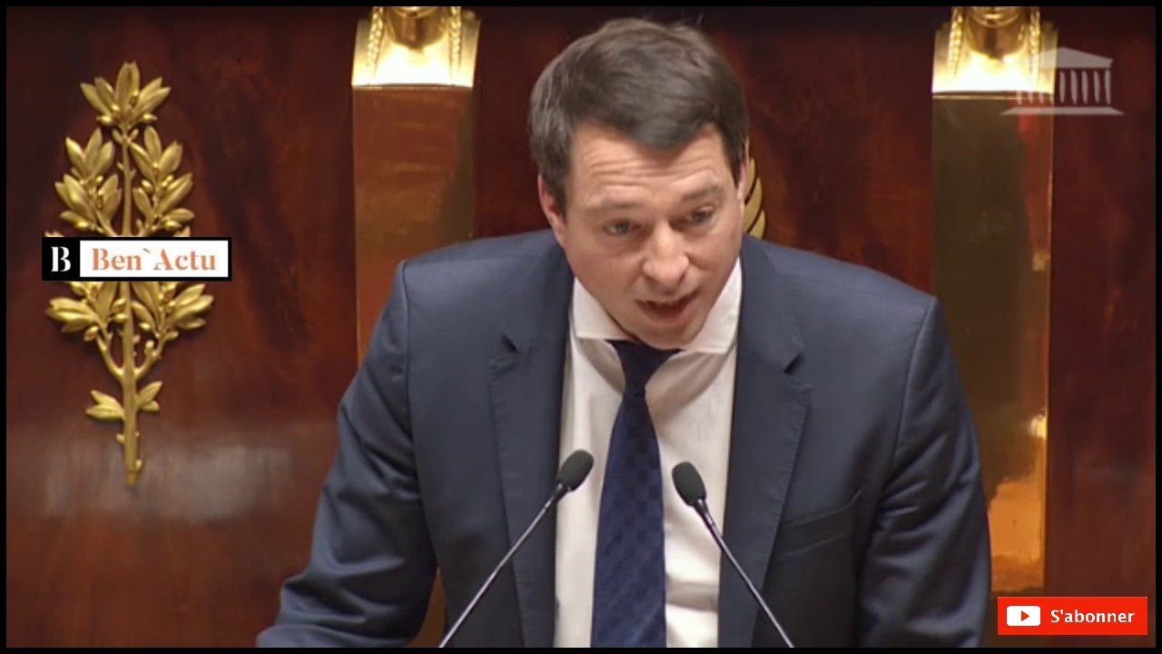 PROTECTION DES VICTIMES DE VIOLENCES CONJUGALES (L'ASSEMBLÉE NATIONALE )