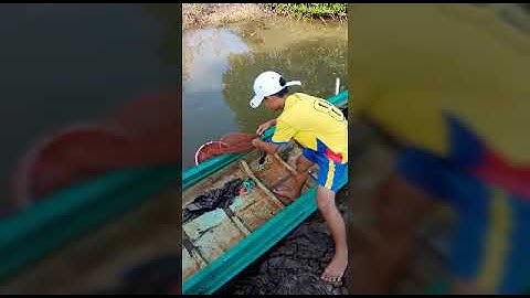 Câu cá nước mặn ở cà mau