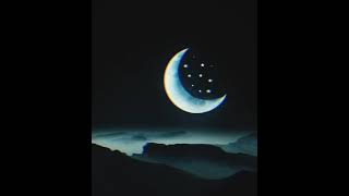 : W1LD -  
