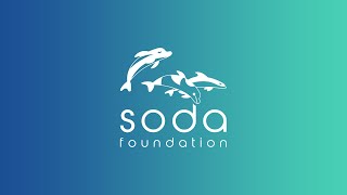 Autonomous Data Management Framework For Data Mobility