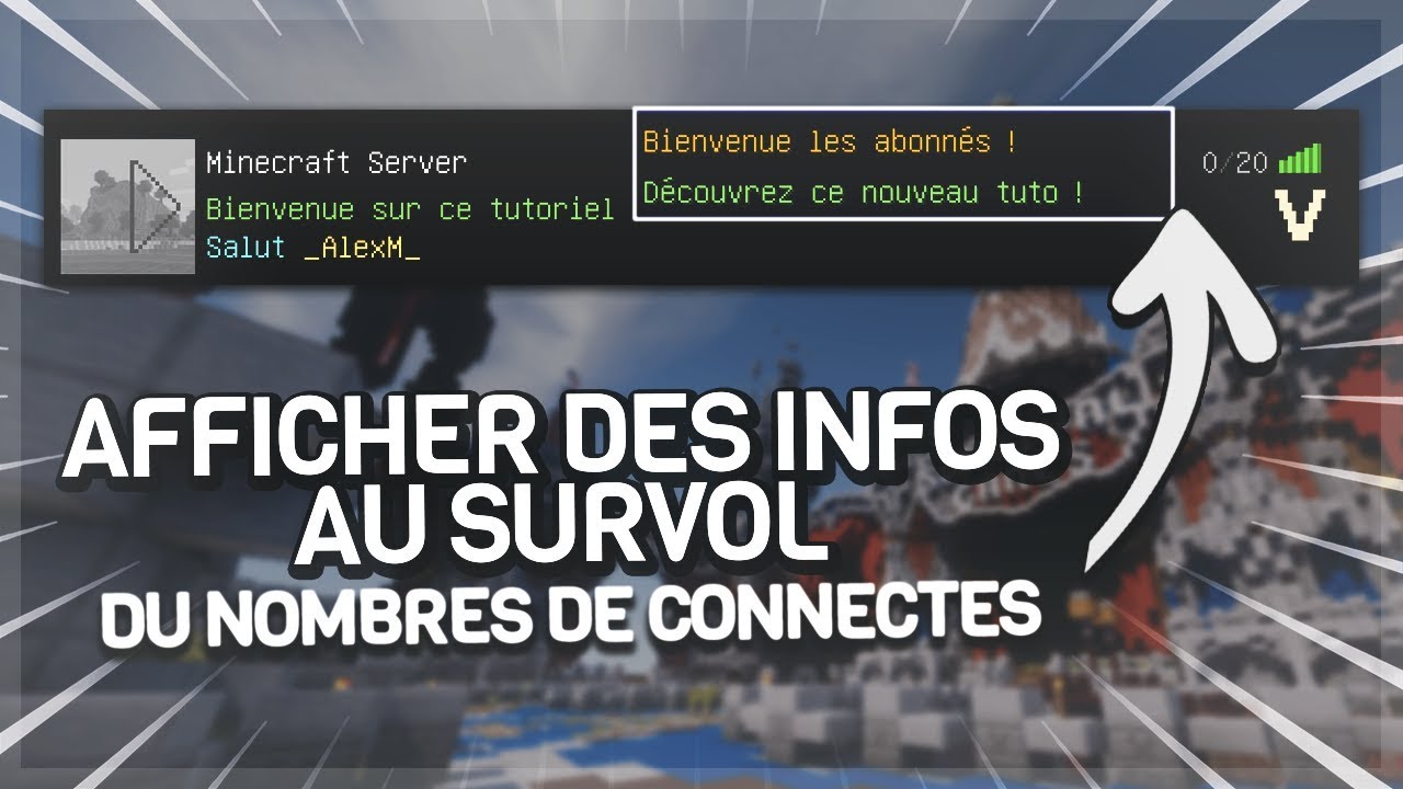 Comment Faire Un Nombre De Connecté Minecraft Sur Pc