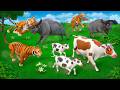 Wild vs farm  buffalo cow vs tiger fox  animal kingdom  animal fightings compilation 2024