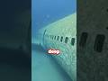 They found an abandoned Air plane underwater