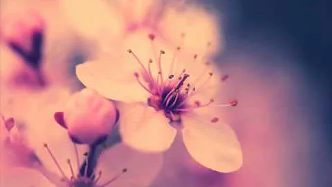 FOREVER YOUNG by Carol Parks  Lyrics and Sub