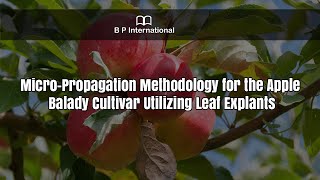 Micro-Propagation Methodology for the Apple Balady Cultivar Utilizing Leaf Explants