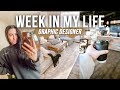 WEEK IN MY LIFE AS A GRAPHIC DESIGNER | web design, client calls, black hair gloss