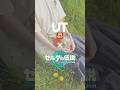 【ユニクロUT×ゼルダの伝説】ティアキンコラボTシャツ沢山買ってきた!🌱【ティアーズオブザキングダム】 #uniqlo #ゼルダの伝説 #totk #ティアキン