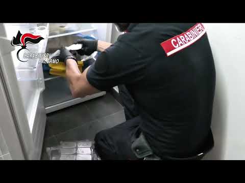Video Palermo Blitz allo Zen 2 sequestrati oltre 17 chili di droga, due arresti