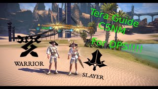 TERA DPS Guide: Corrupted Skynest Console (CSNM)