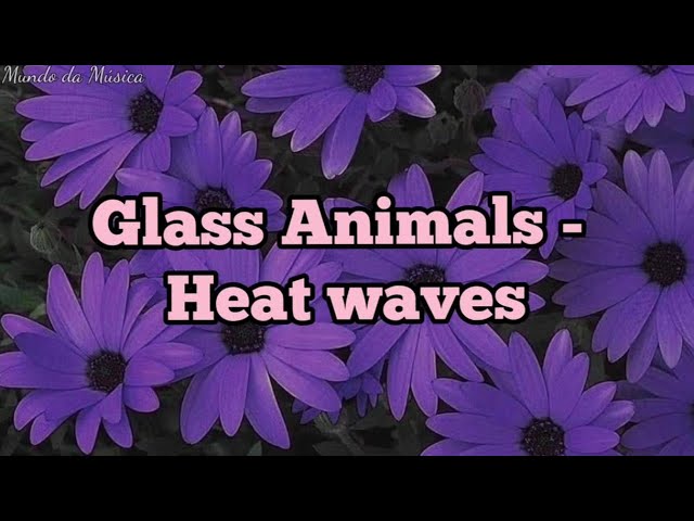 Heat Waves- #glassanimals #heatwaves #musica #tradução