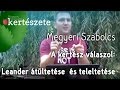 A kertész válaszol: Leander átültetése és teleltetése