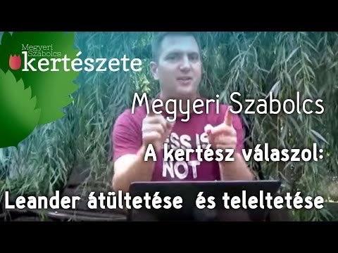 Videó: Szágópálma átültetése – Ismerje meg, mikor és hogyan kell átültetni a szágópálmát