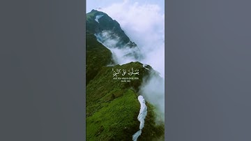 تلاوة سورة الاحزاب ياسر الدوسري|القرآن الكريم تجويد