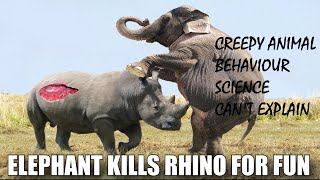 7 CREEPY ANIMAL BEHAVIOUR THAT SCIENCE CANNOT EXPLAIN by bodhispeak 273,062 views 6 years ago 7 minutes, 3 seconds