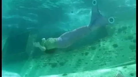 Danna Paola - Mermaid - Amy 2004.avi