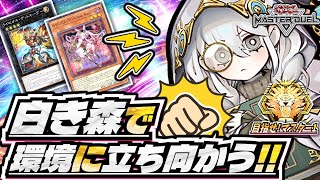 しらこの配信のサムネイル画像
