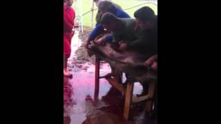 Matanza en guadalix 2013