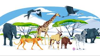 The Colorful Spectrum  Diversity in the Living World