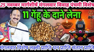 25 नवंबर मार्गशीर्ष मंगलवार विवाह पंचमी को 11 गेंहू के दाने वाला उपाय जरुर करे || Pradeep Ji Mishra 