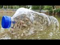 Bottle fish trap  amazing boy catch fish with plastic bottle