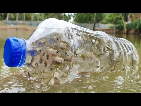वीडियो: मछली पकड़ने का पट्टा कैसे बनाएं