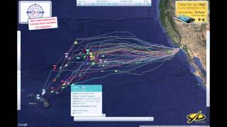 July 24 Transpac analysis show