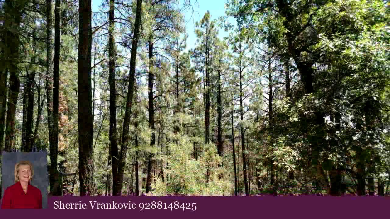 Commercial for sale - 995 Eagle View Drive, Happy Jack, AZ 86024