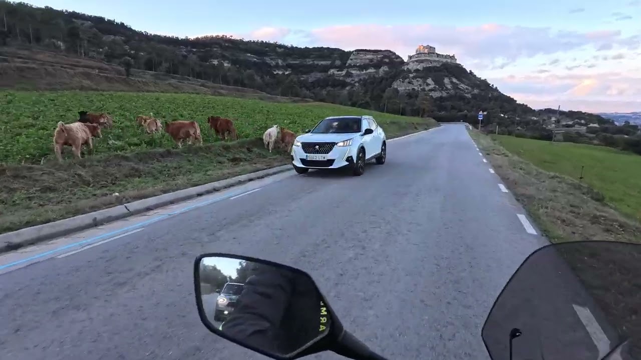 Honda CB 750 Hornet St Feliu a Centelles